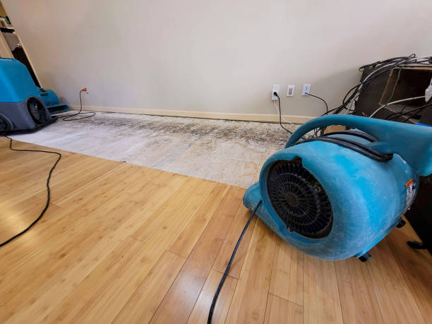Professional Basement Flood Cleanup technician working in Ecru, MS